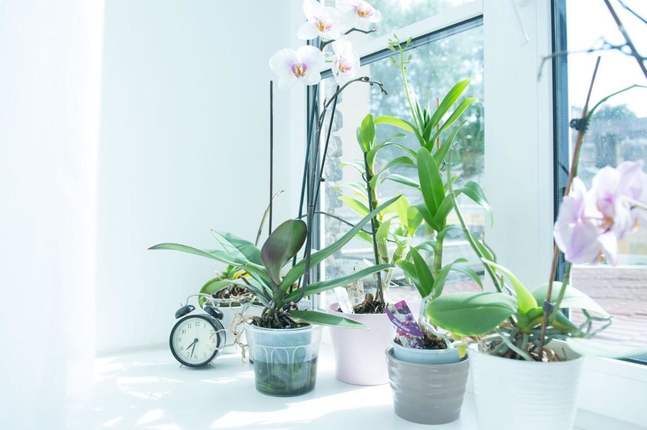 Апартаменты Provence Home Вильнюс