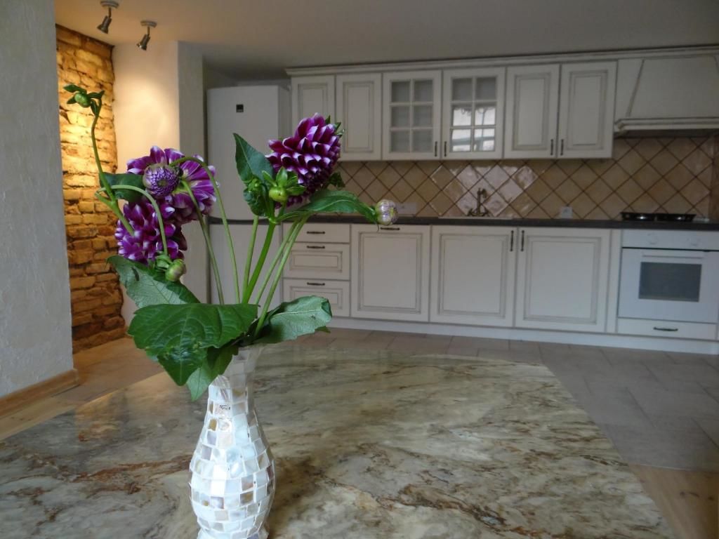 Апартаменты Provence Home Вильнюс