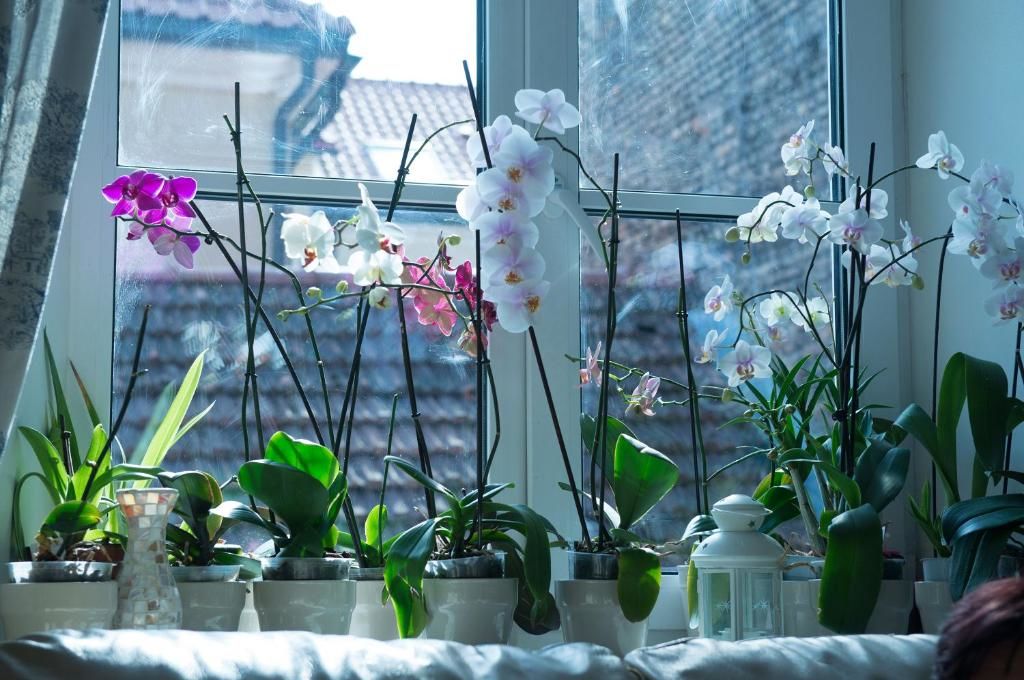 Апартаменты Provence Home Вильнюс