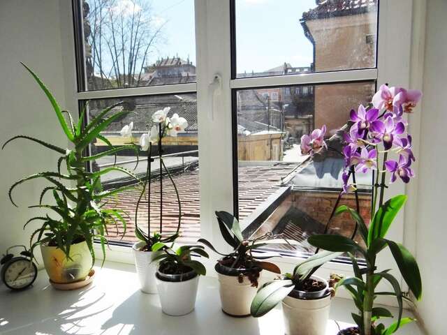 Апартаменты Provence Home Вильнюс-88