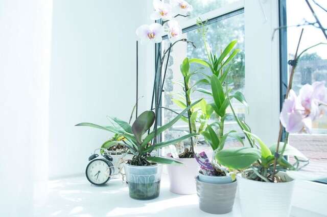 Апартаменты Provence Home Вильнюс-101